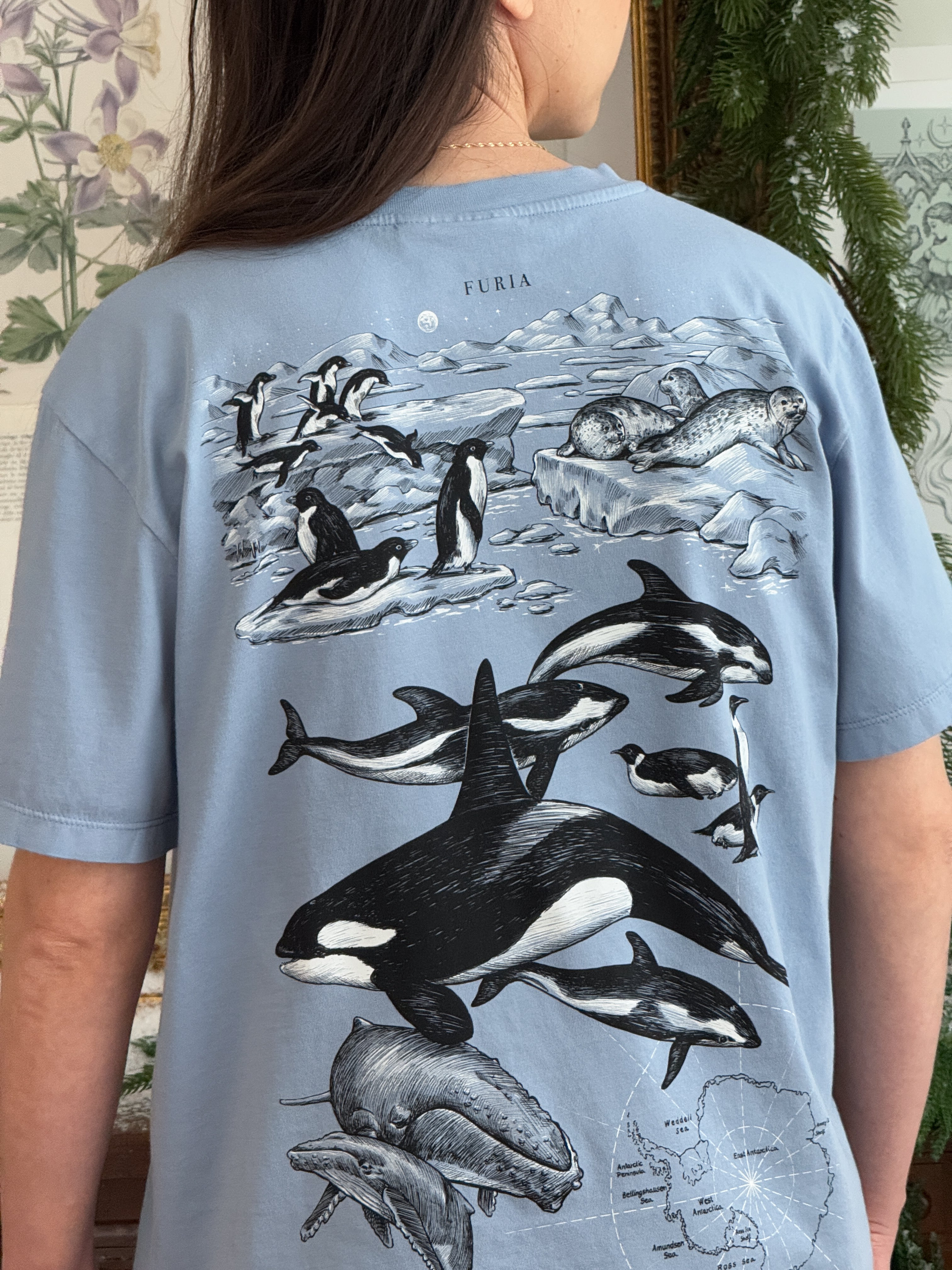 Antarctica© (Available Sunday 7)