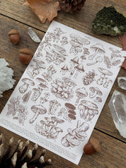 Mushrooms Print