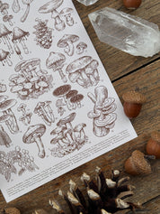 Mushrooms Print