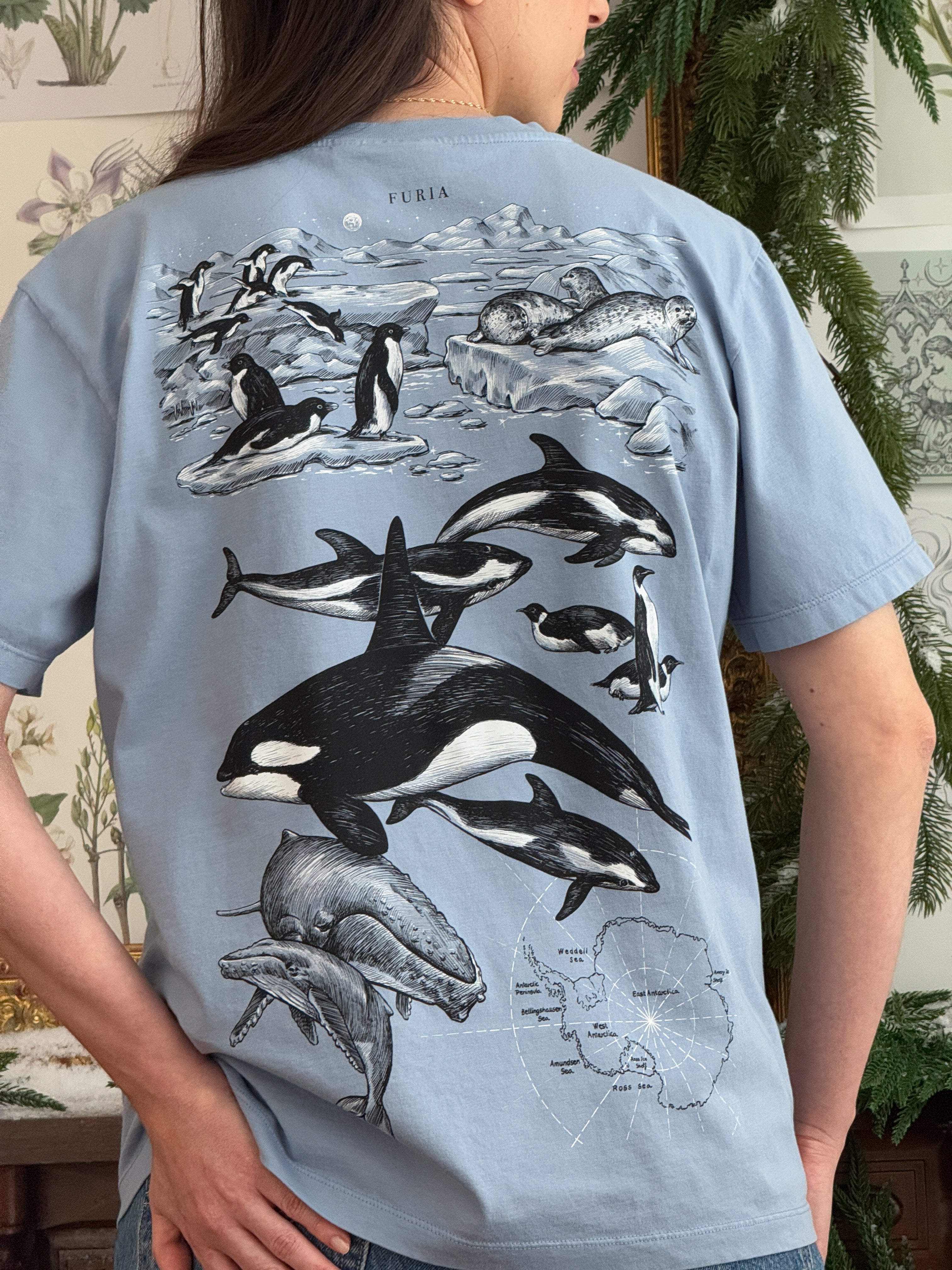 Antarctica© (Available Sunday 7)