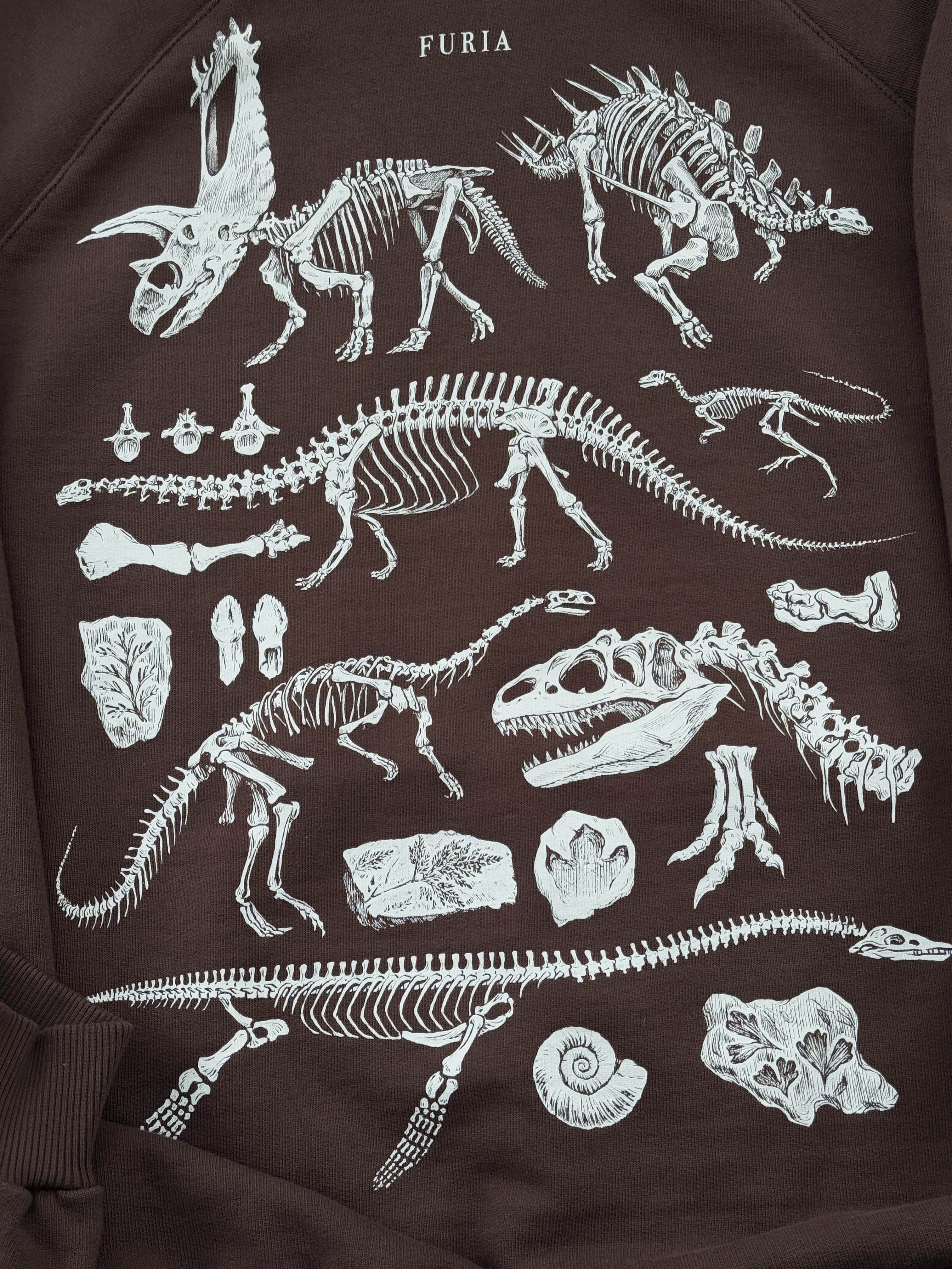 Hoodie Dinosaurios© (Disponible Domingo 7)