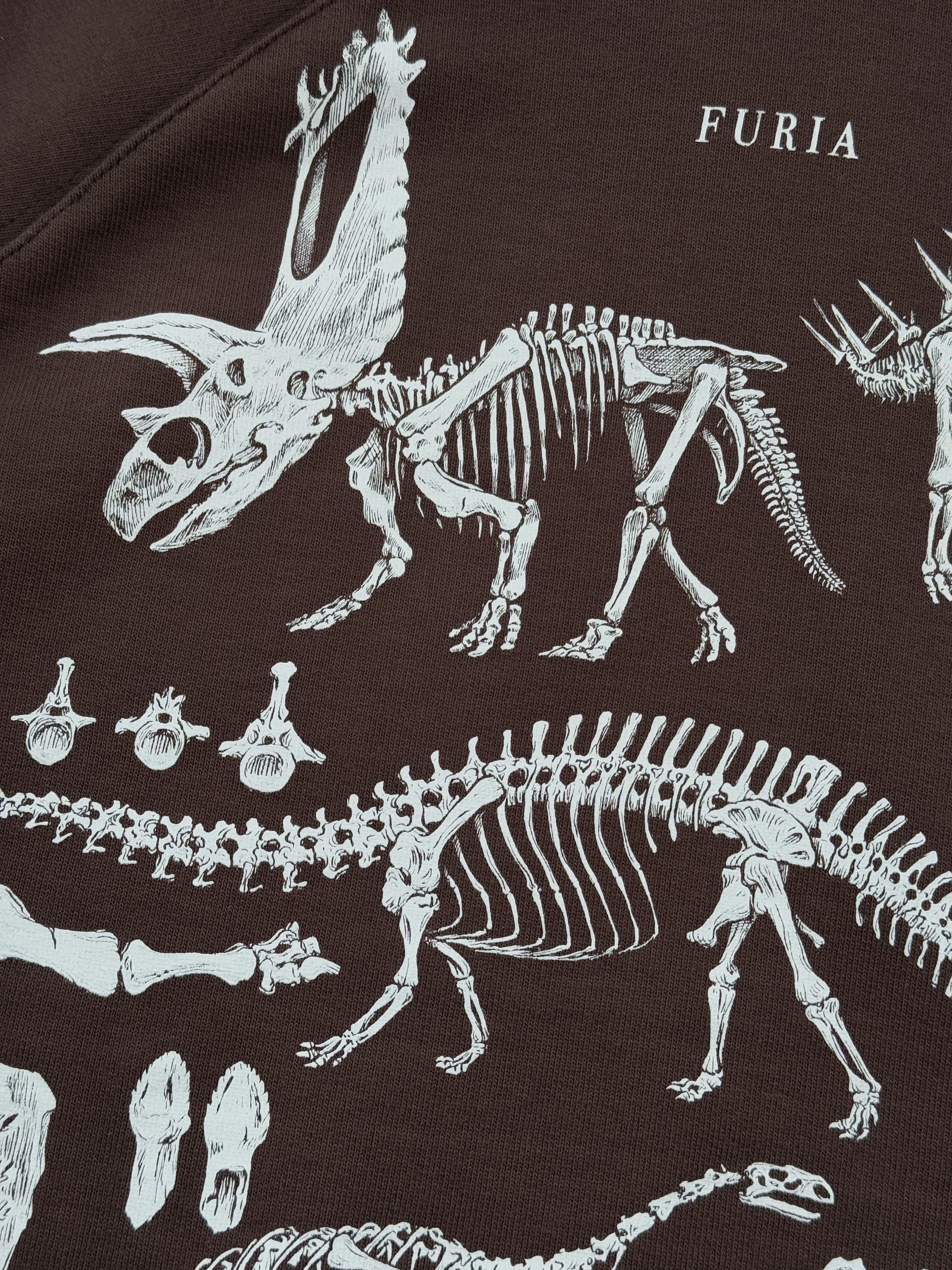 Hoodie Dinosaurios© (Disponible Domingo 7)