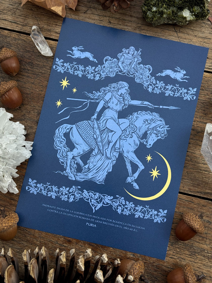 Pack Print Boudica Azul®