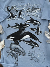 Antarctica© (Available Sunday 7)