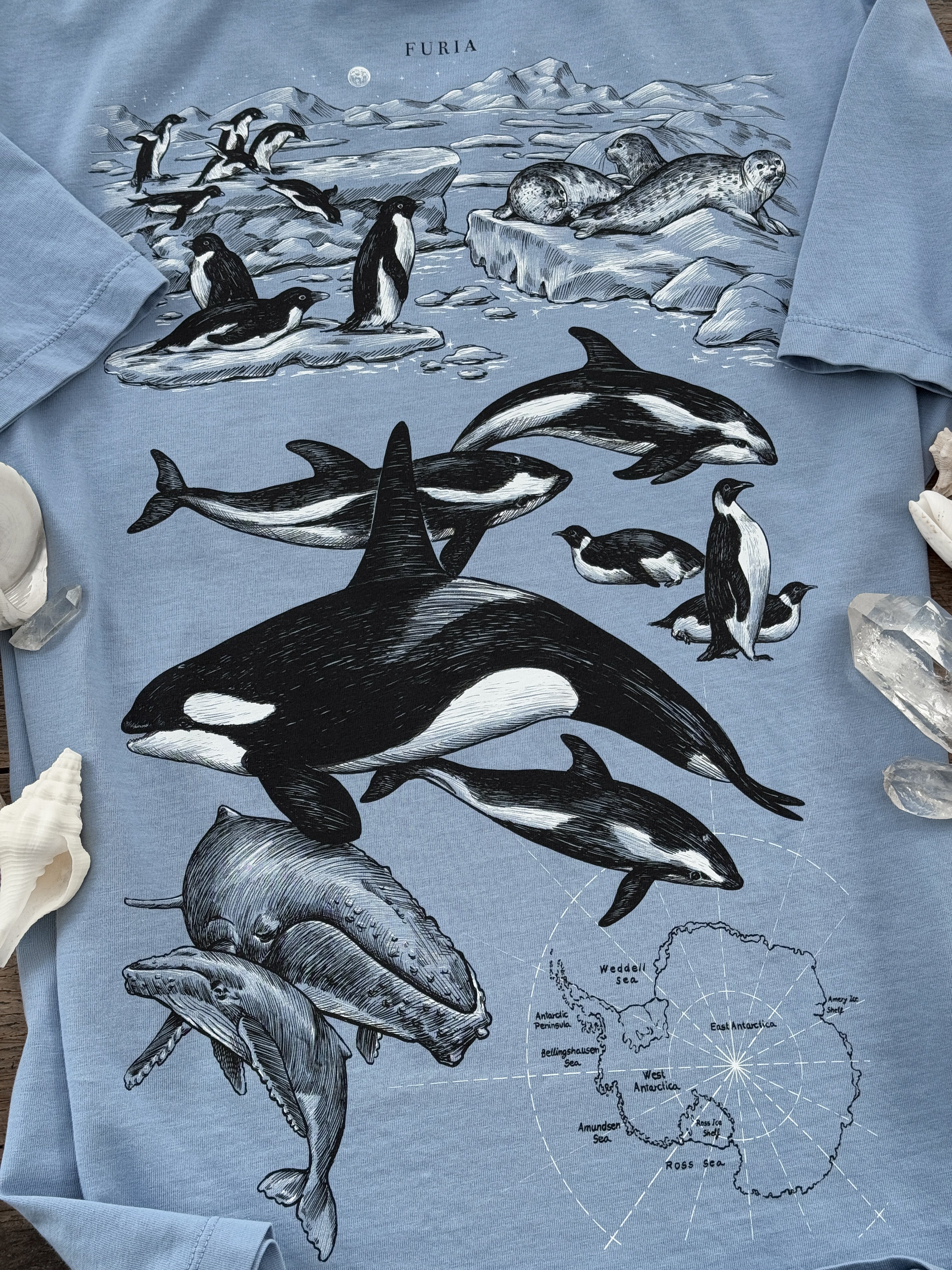 Antarctica© (Available Sunday 7)