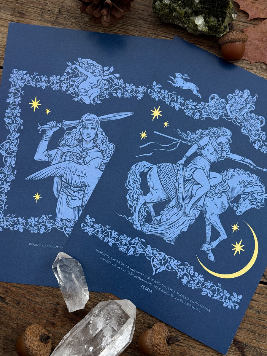 Pack Print Boudica Azul®