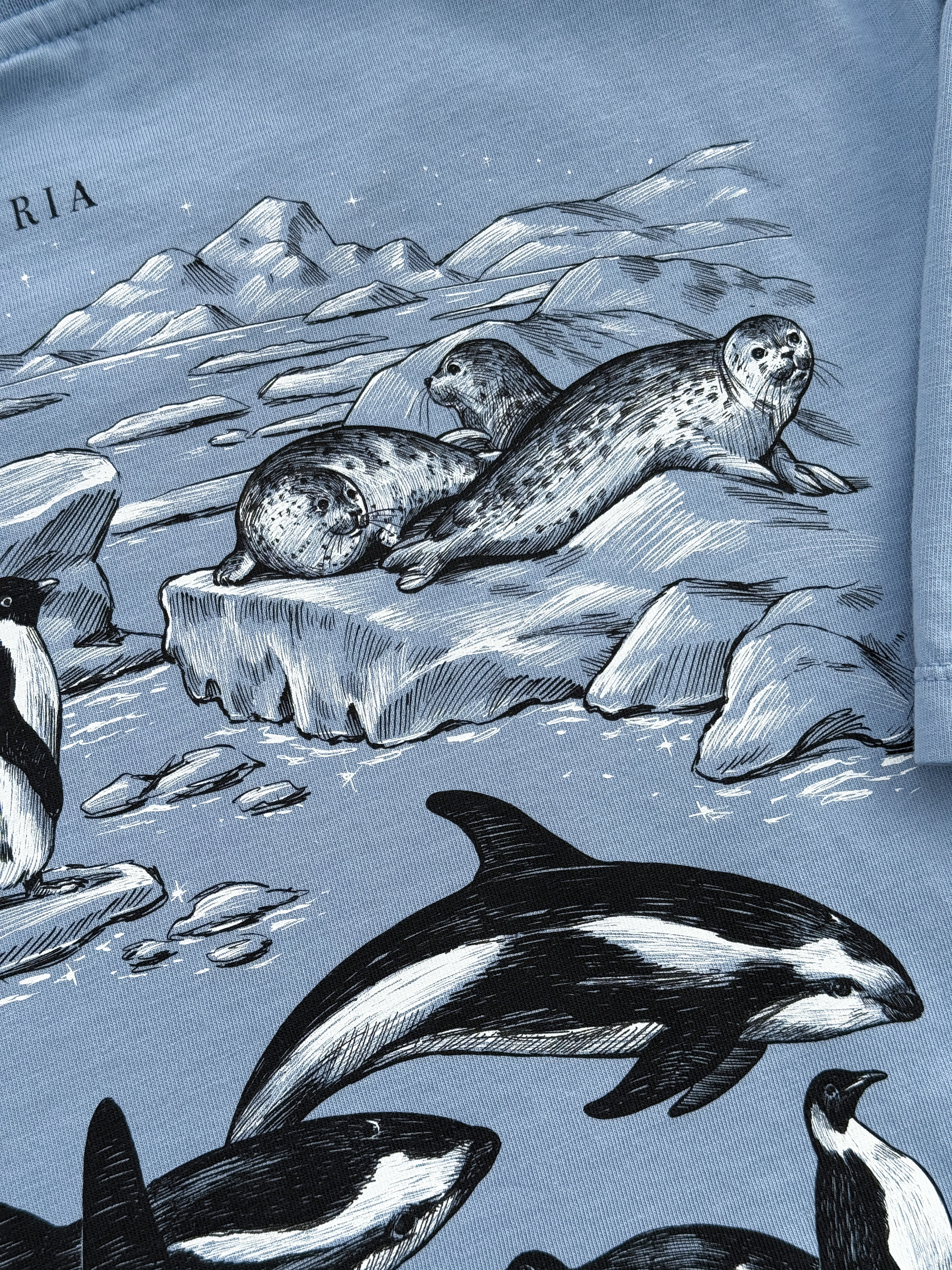 Antarctica© (Available Sunday 7)