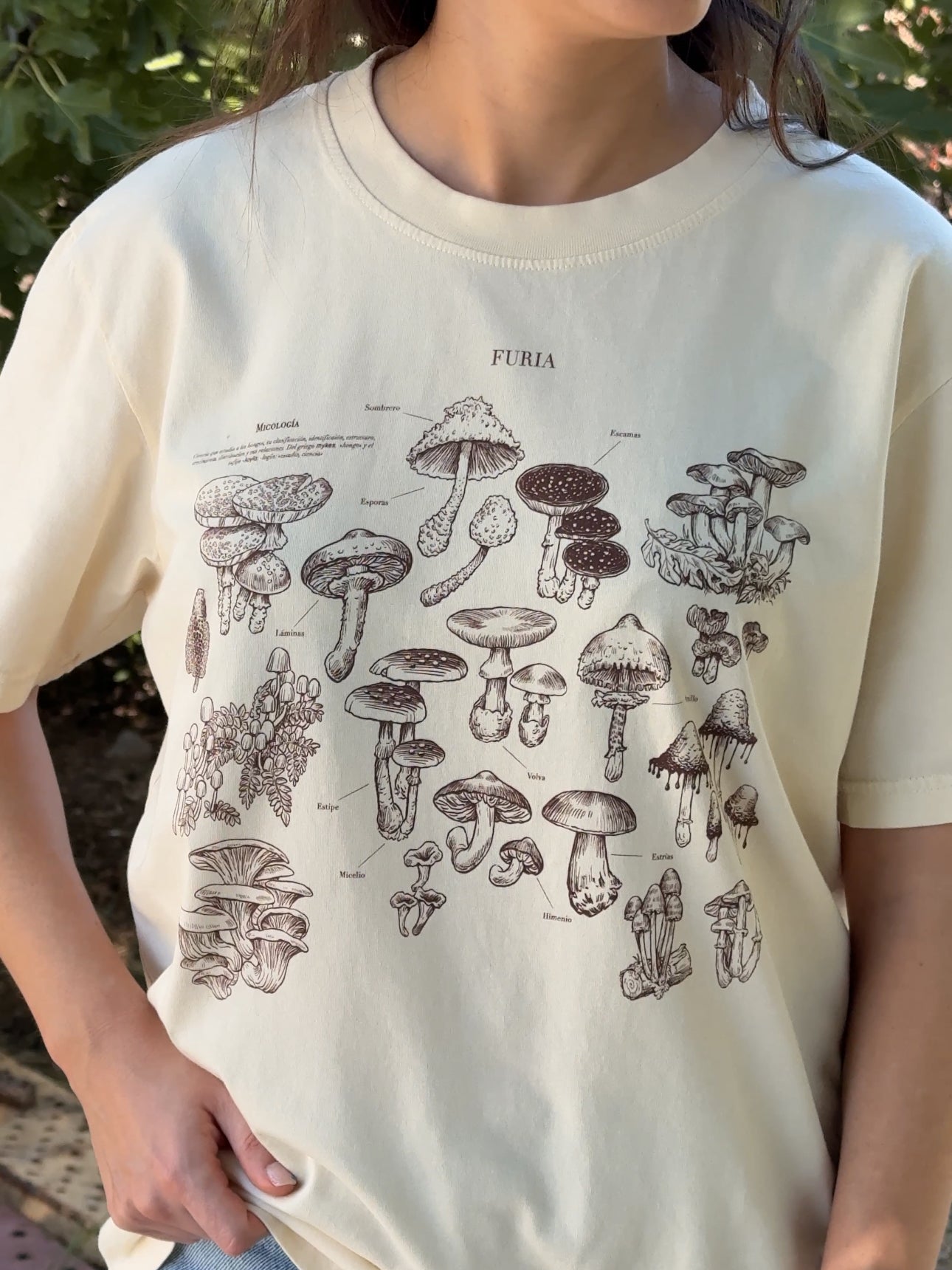 Mushrooms® 