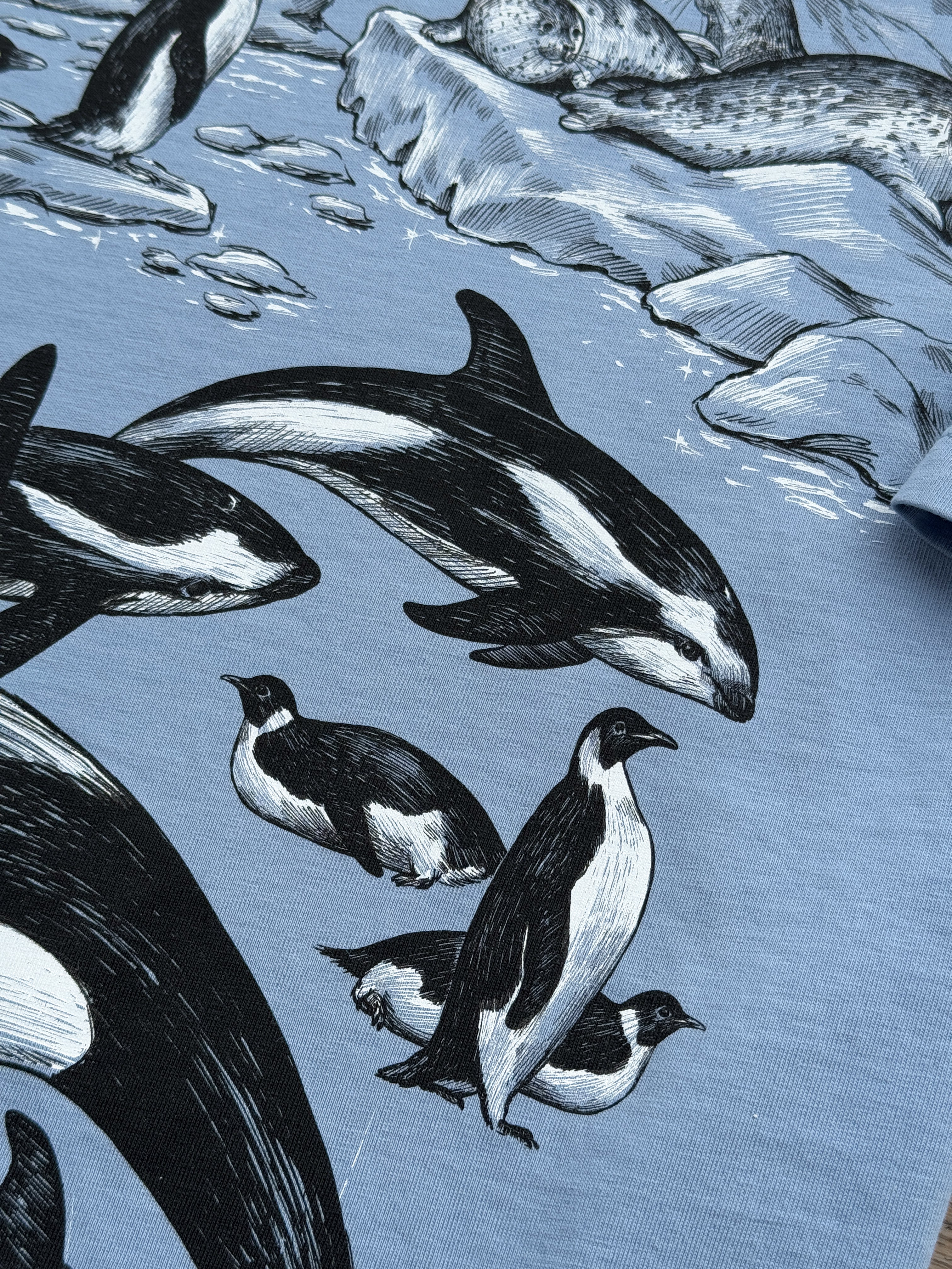 Antarctica© (Available Sunday 7)