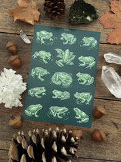 Frogs® Print