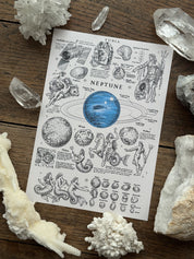 Print Neptune ® Beige