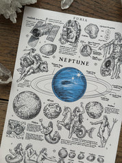 Print Neptune ® Beige