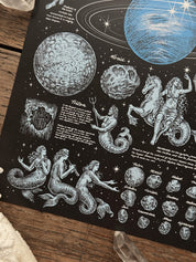 Print Neptuno® Black 