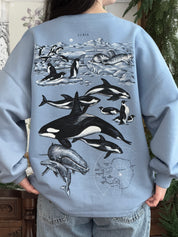 Sudadera Antártida© (Disponible Domingo 7)