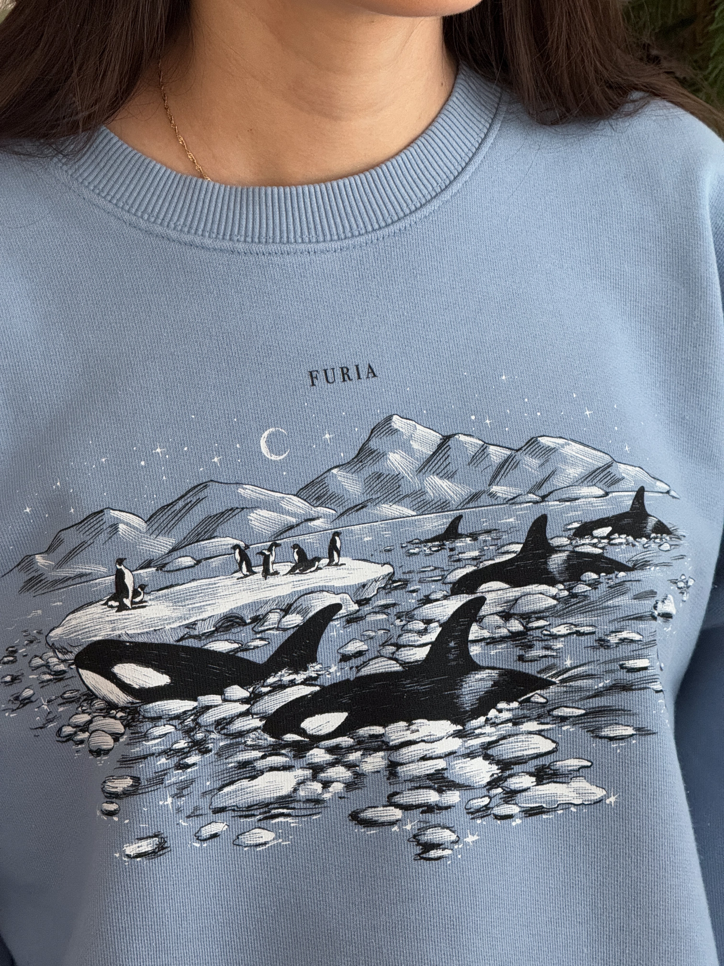 Sudadera Antártida© (Disponible Domingo 7)