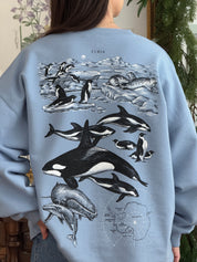 Sudadera Antártida© (Disponible Domingo 7)