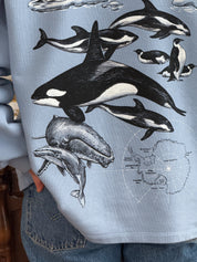 Sudadera Antártida© (Disponible Domingo 7)