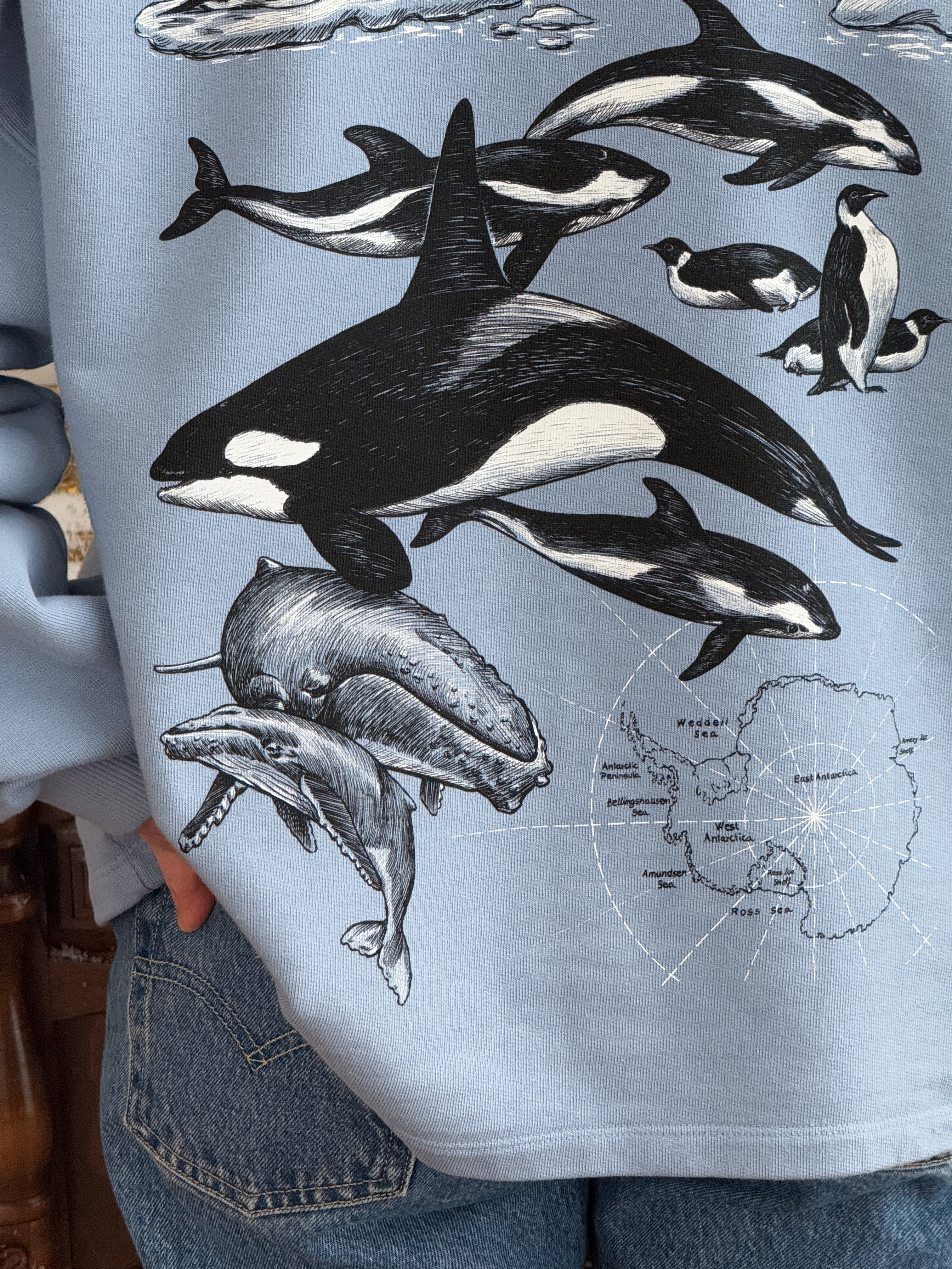 Sudadera Antártida© (Disponible Domingo 7)