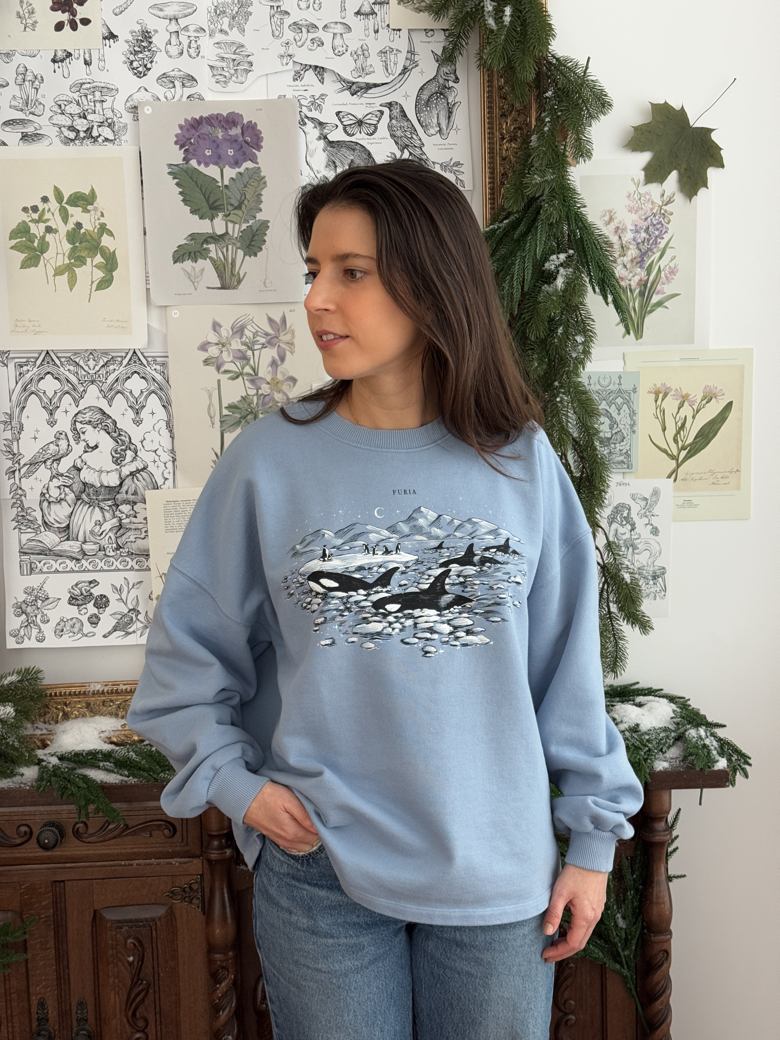 Sudadera Antártida© (Disponible Domingo 7)