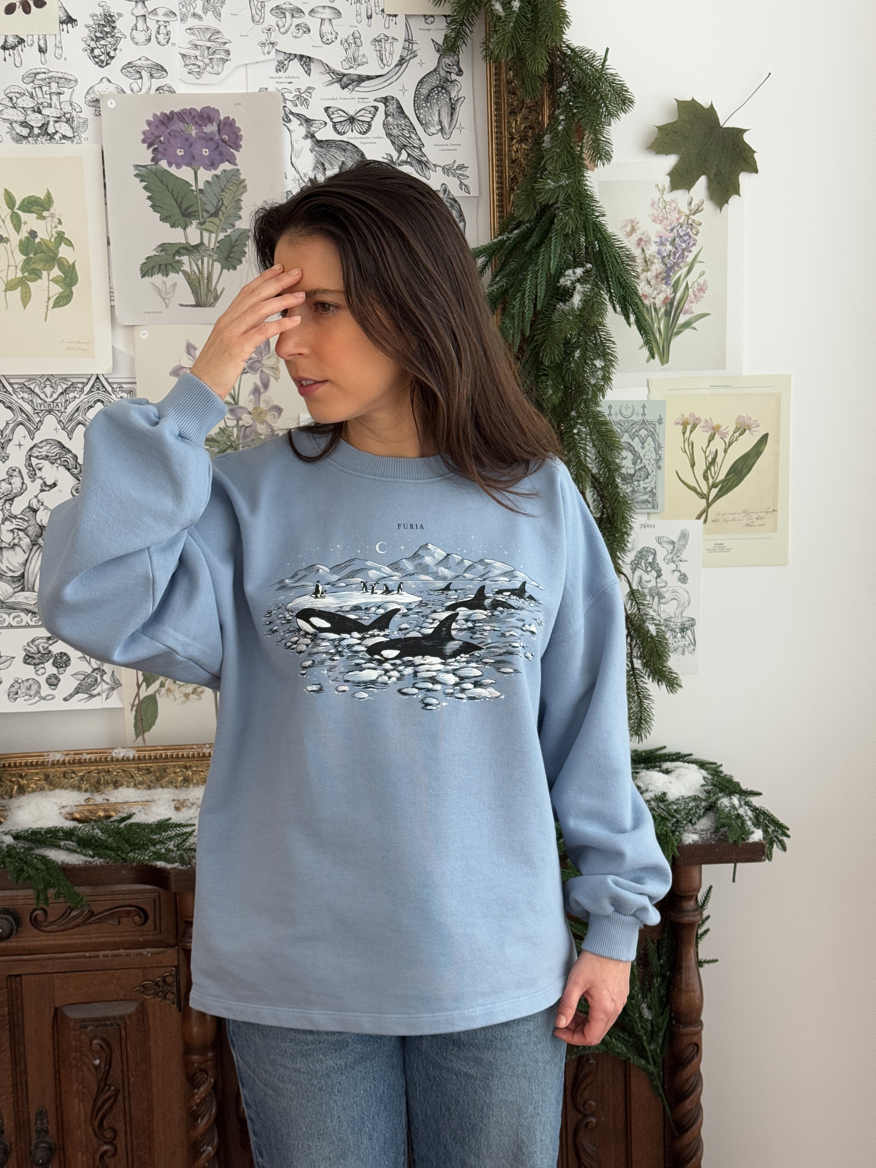 Sudadera Antártida© (Disponible Domingo 7)