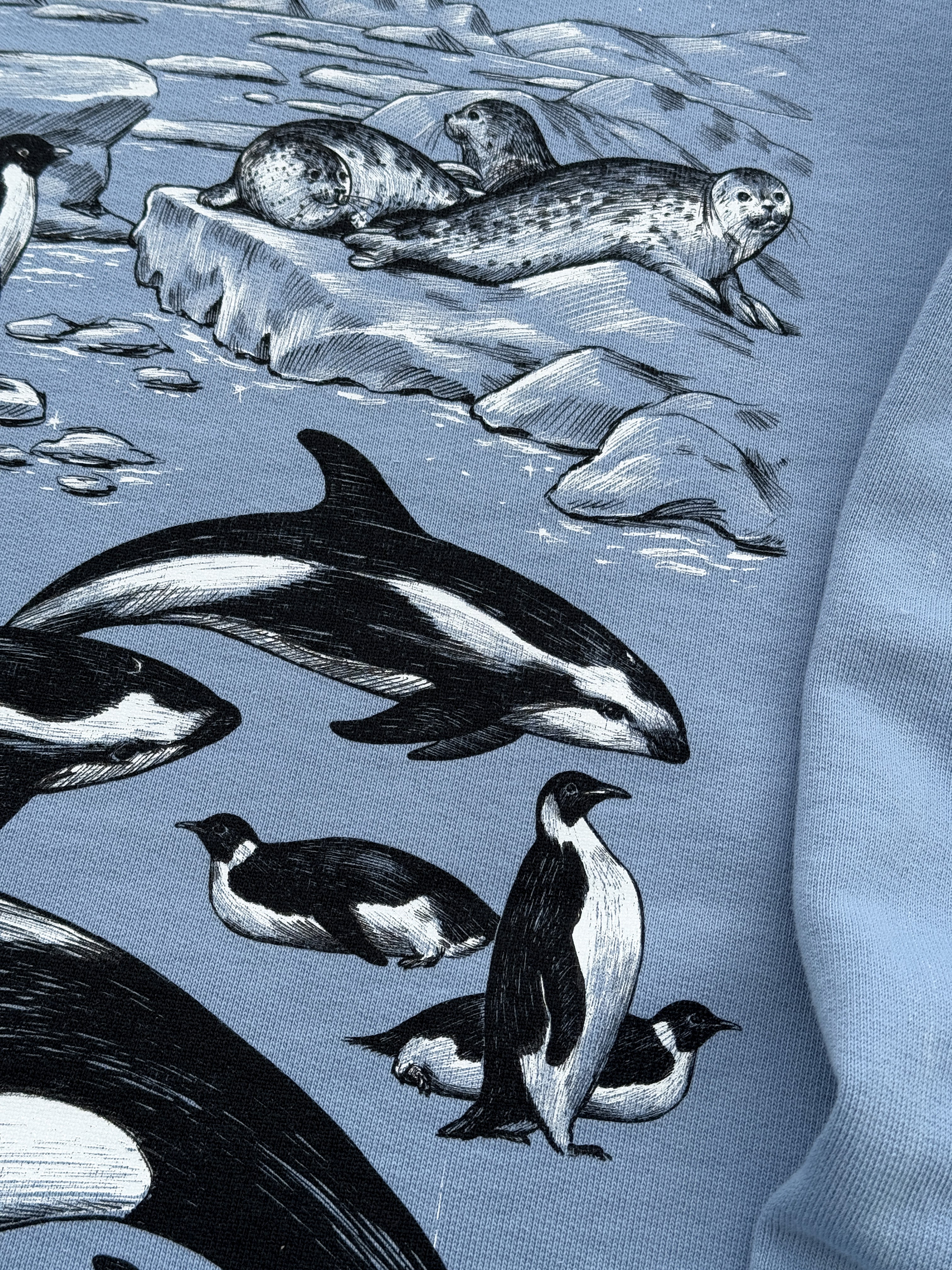 Sudadera Antártida© (Disponible Domingo 7)