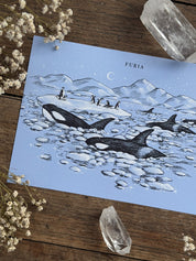 Print Orcas®