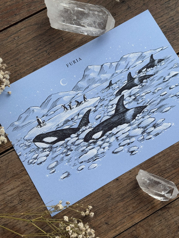 Print Orcas®