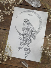 Print Buho y Serpiente®