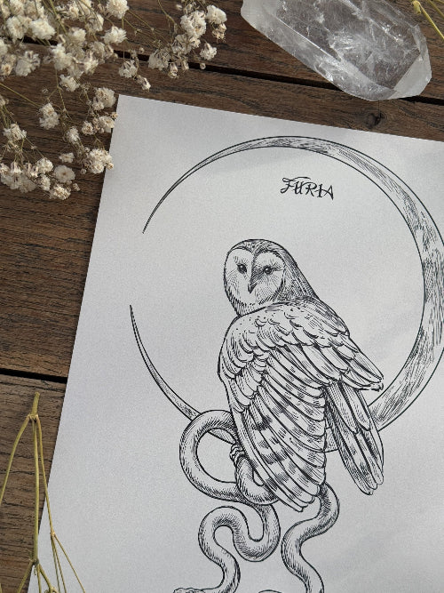 Print Buho y Serpiente®