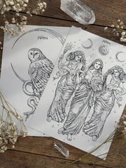 Pack Print Hécate®