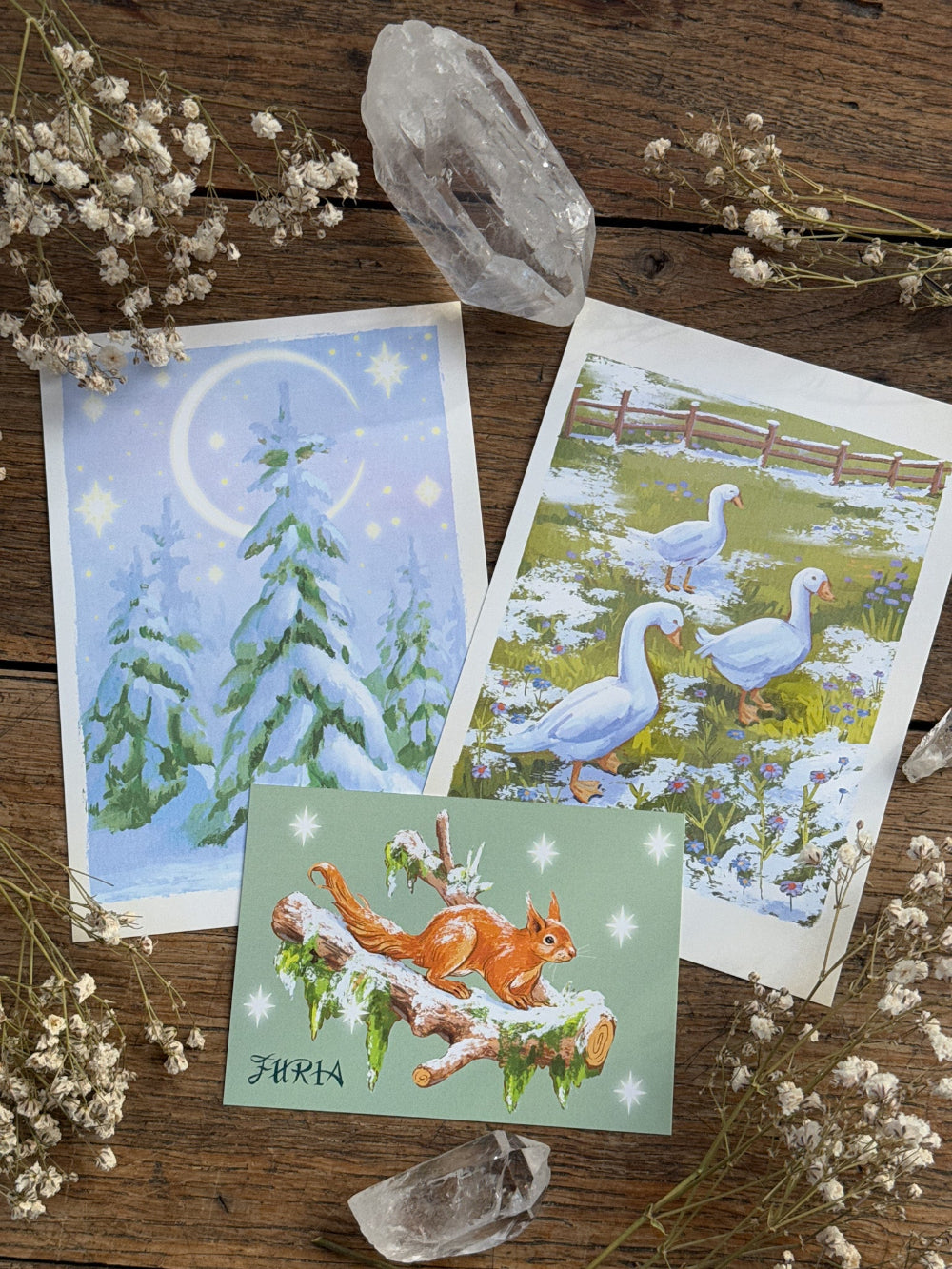 Post Card Winter Winter Postcard Pack® – FURIA