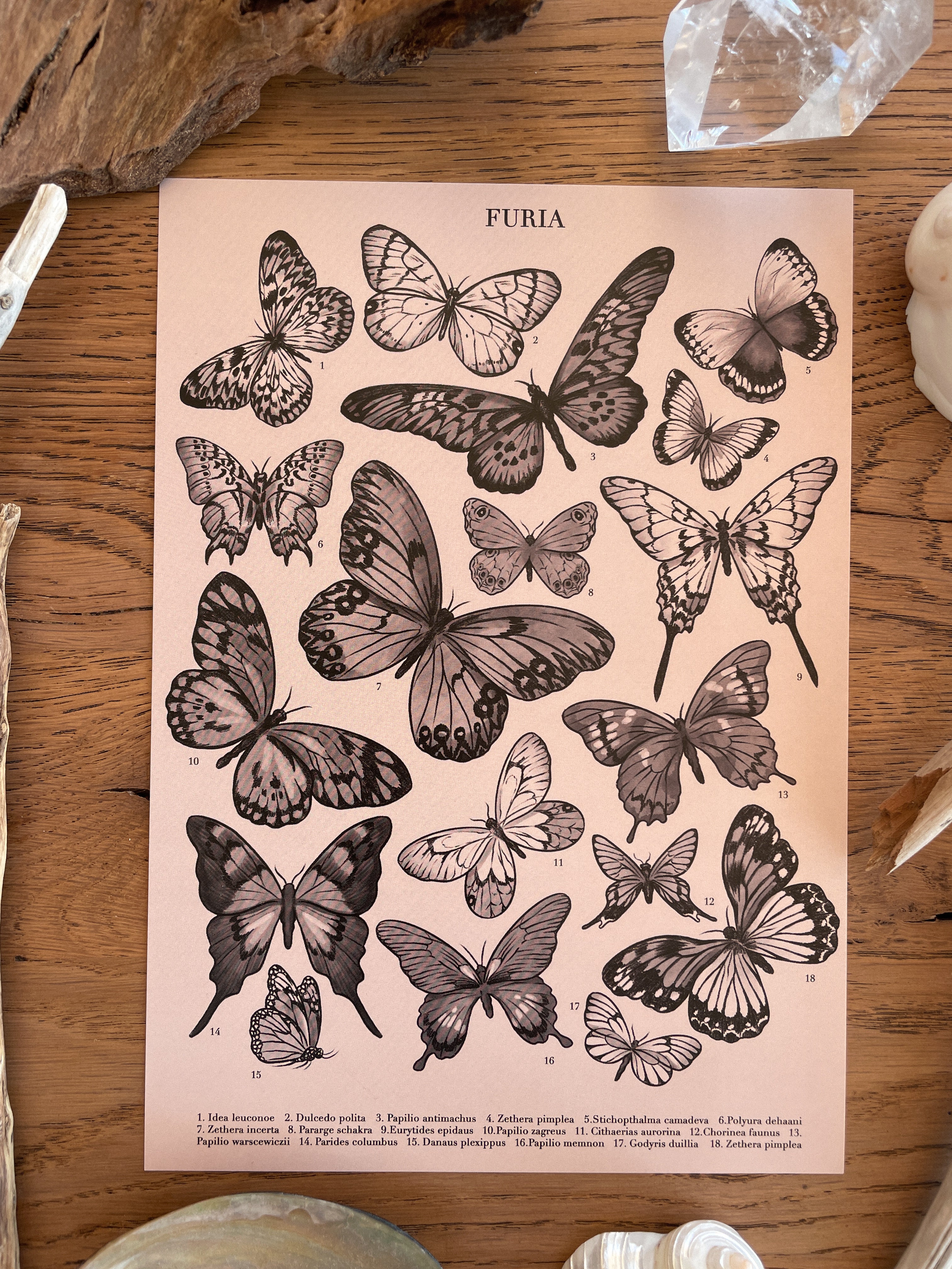 Print Butterflies ©