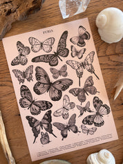 Print Butterflies ©