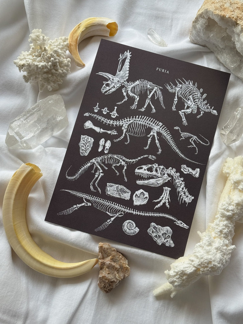 Print Paleontología®