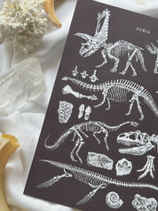Print Paleontología®