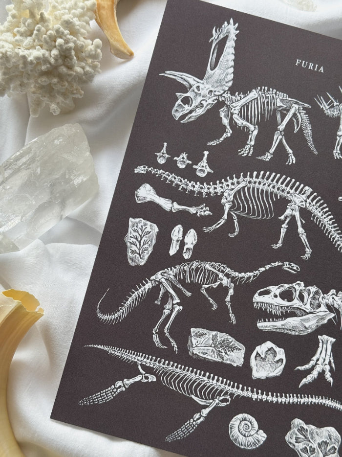 Print Paleontología®