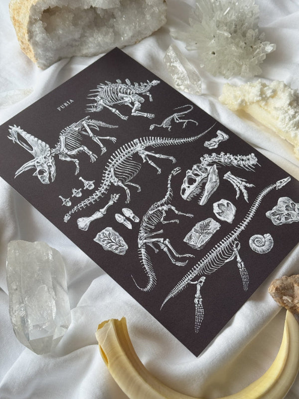Print Paleontology®