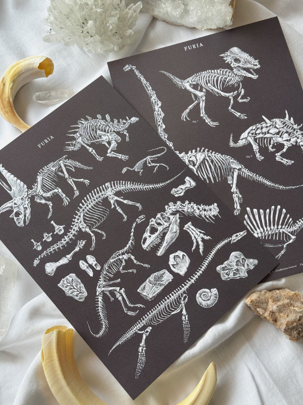 Paleontology® Print Pack