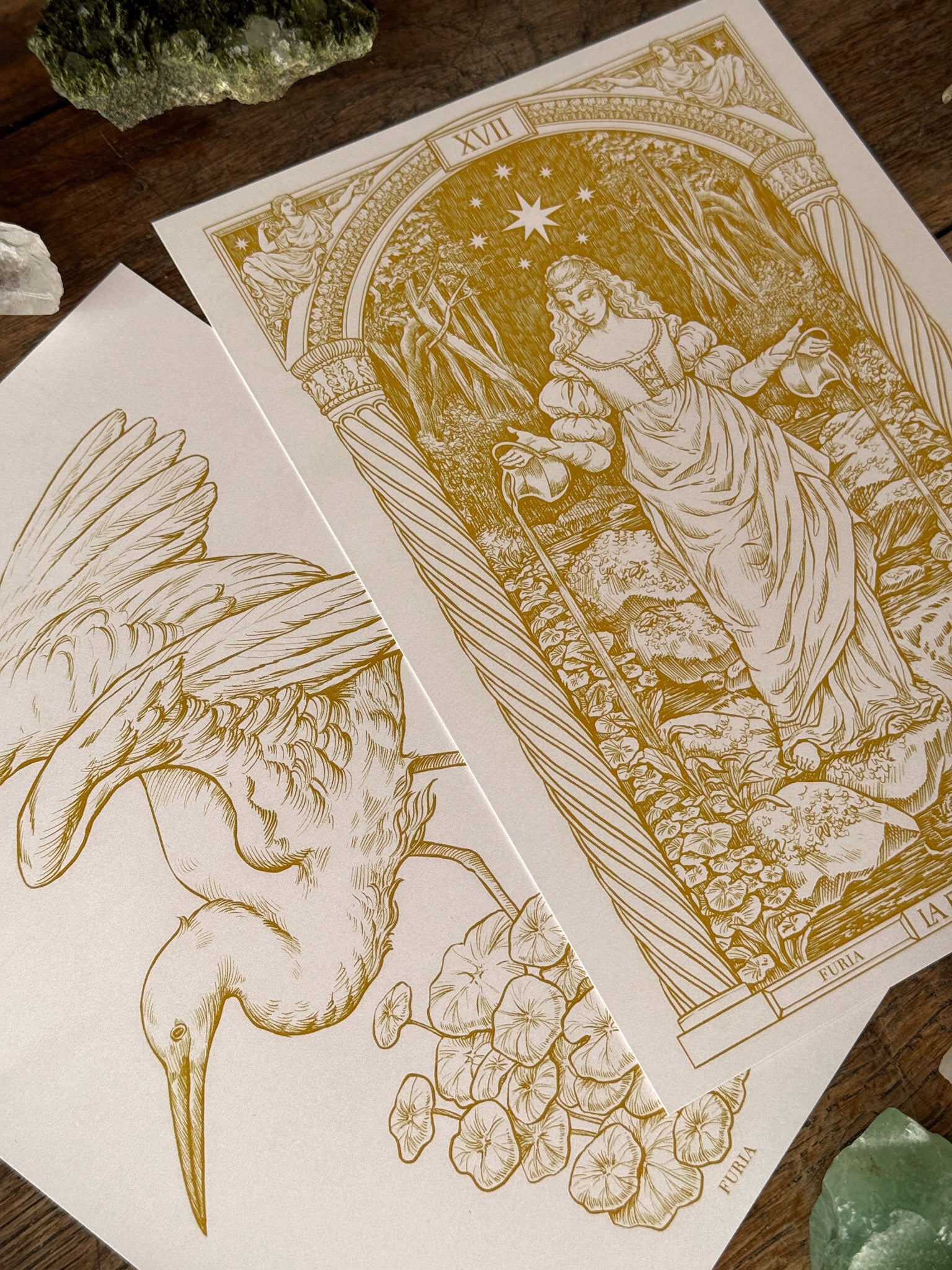 Star and Heron print pack