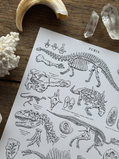 Print Fossils © 