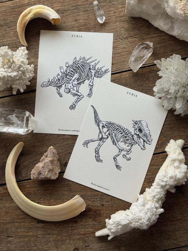 Dinosaurs® Postcard Pack