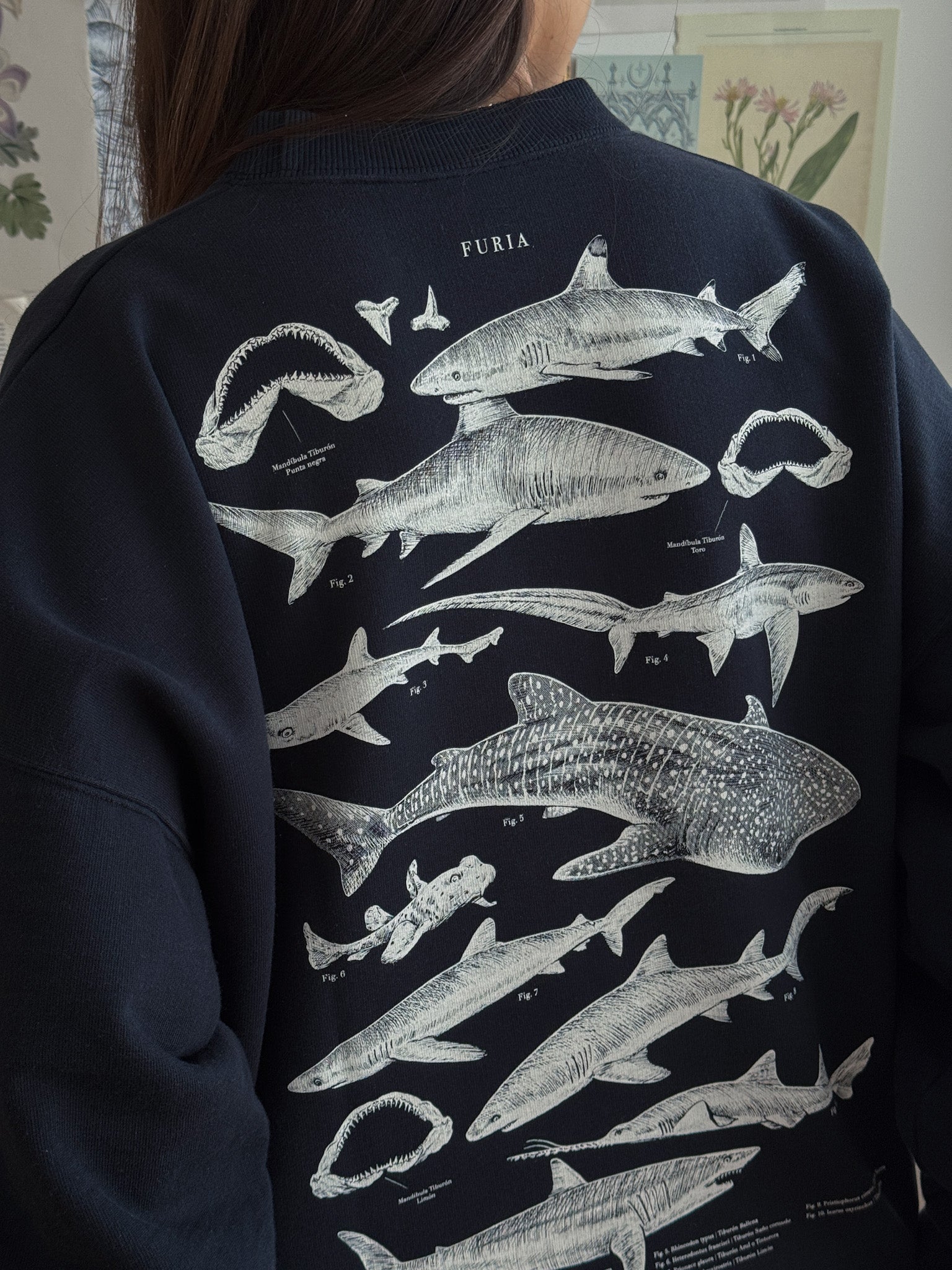 Sharks Sweatshirt©