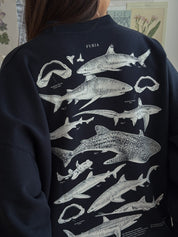 Sharks Sweatshirt©