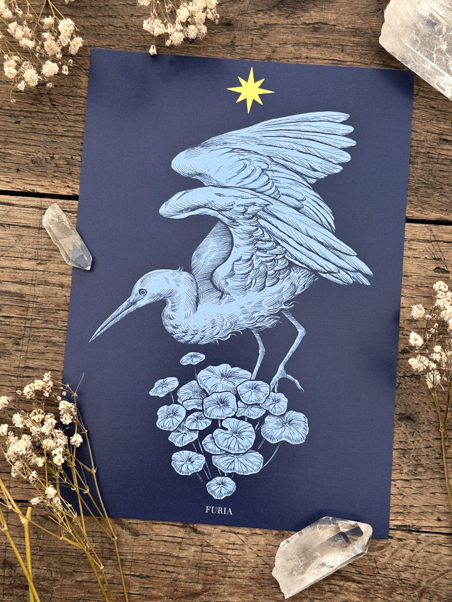 Pack Print La Estrella®