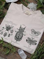 Entomología ® (Disponible 11/05)