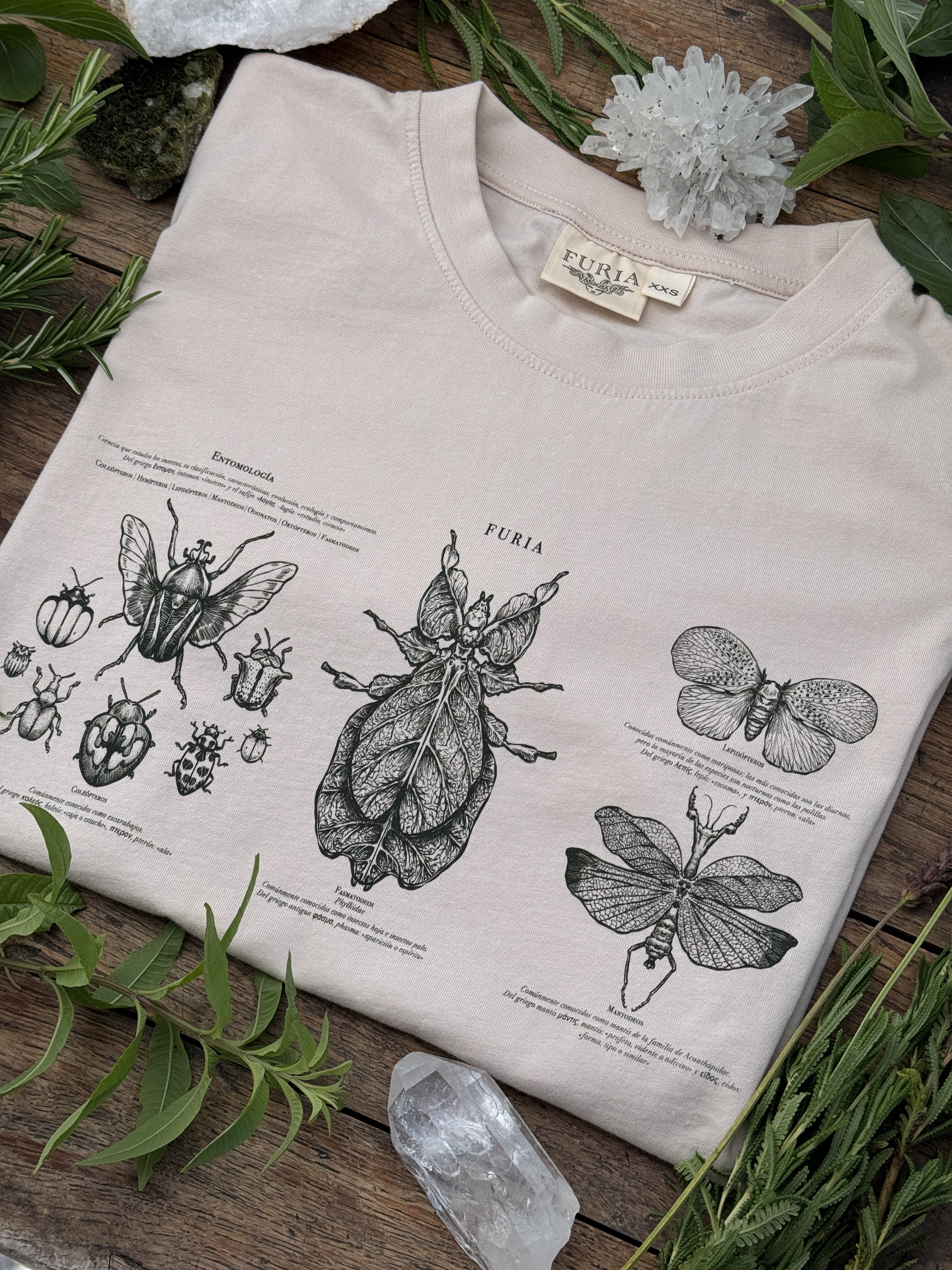 Entomología ® (Disponible 11/05)