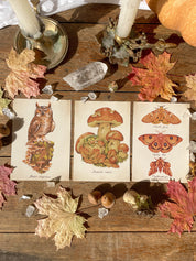 Autumn Prints Pack ©