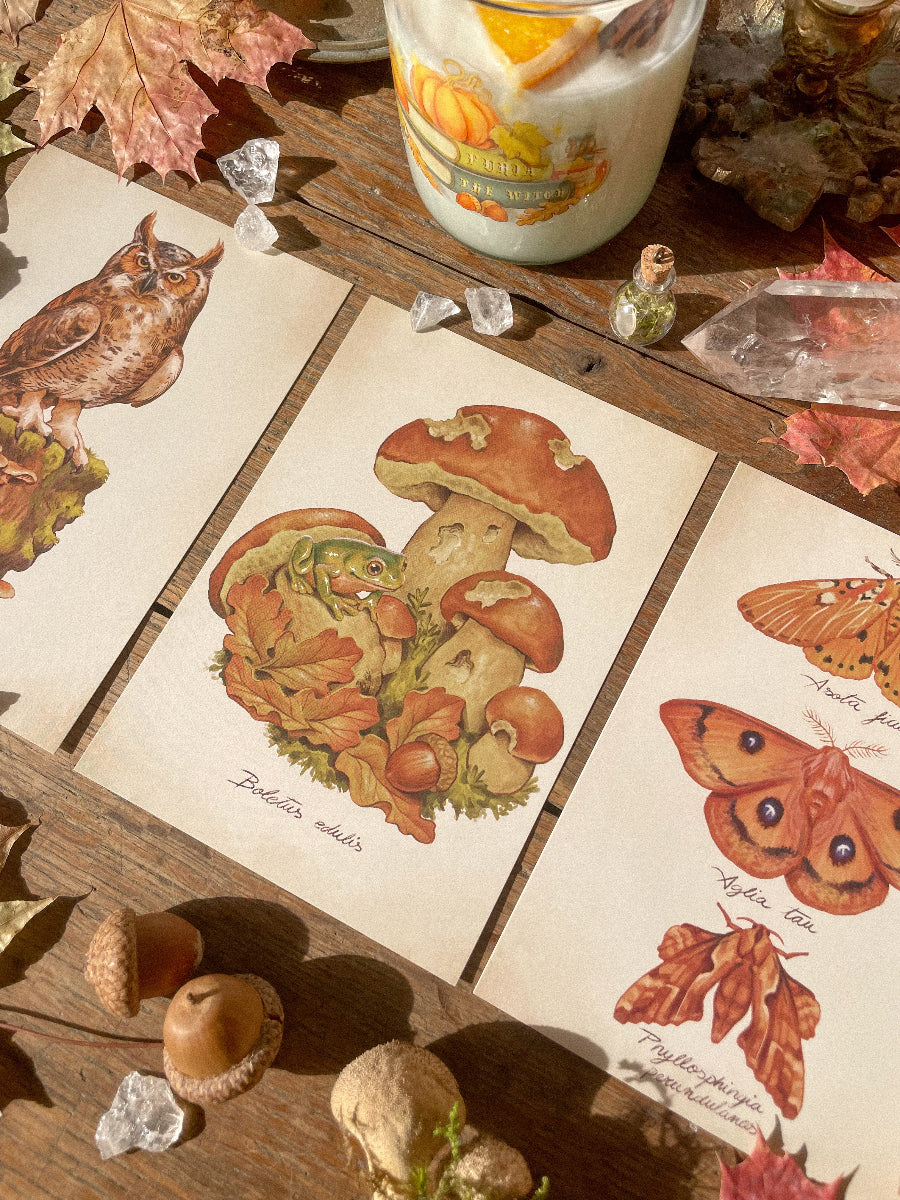 Autumn Prints Pack ©