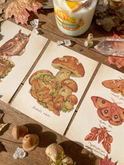 Autumn Prints Pack ©