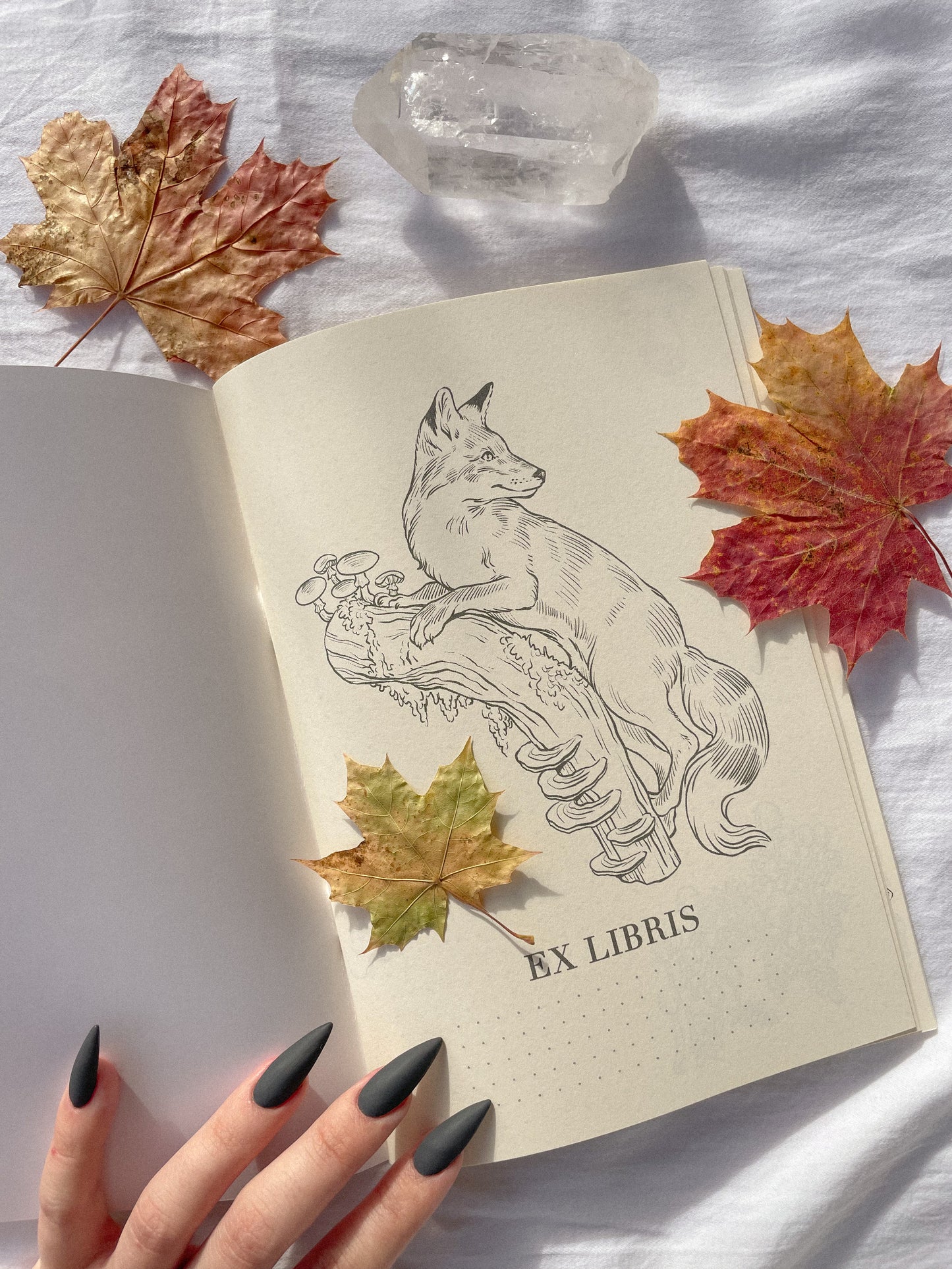 Libreta Otoño©